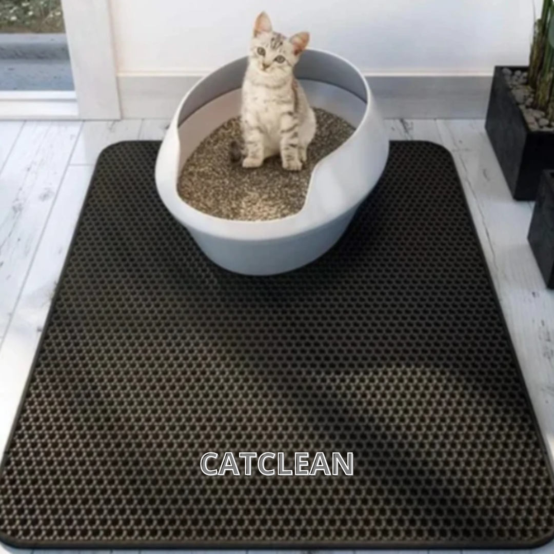 CATCLEAN® | CASA LIBRE DE ARENA