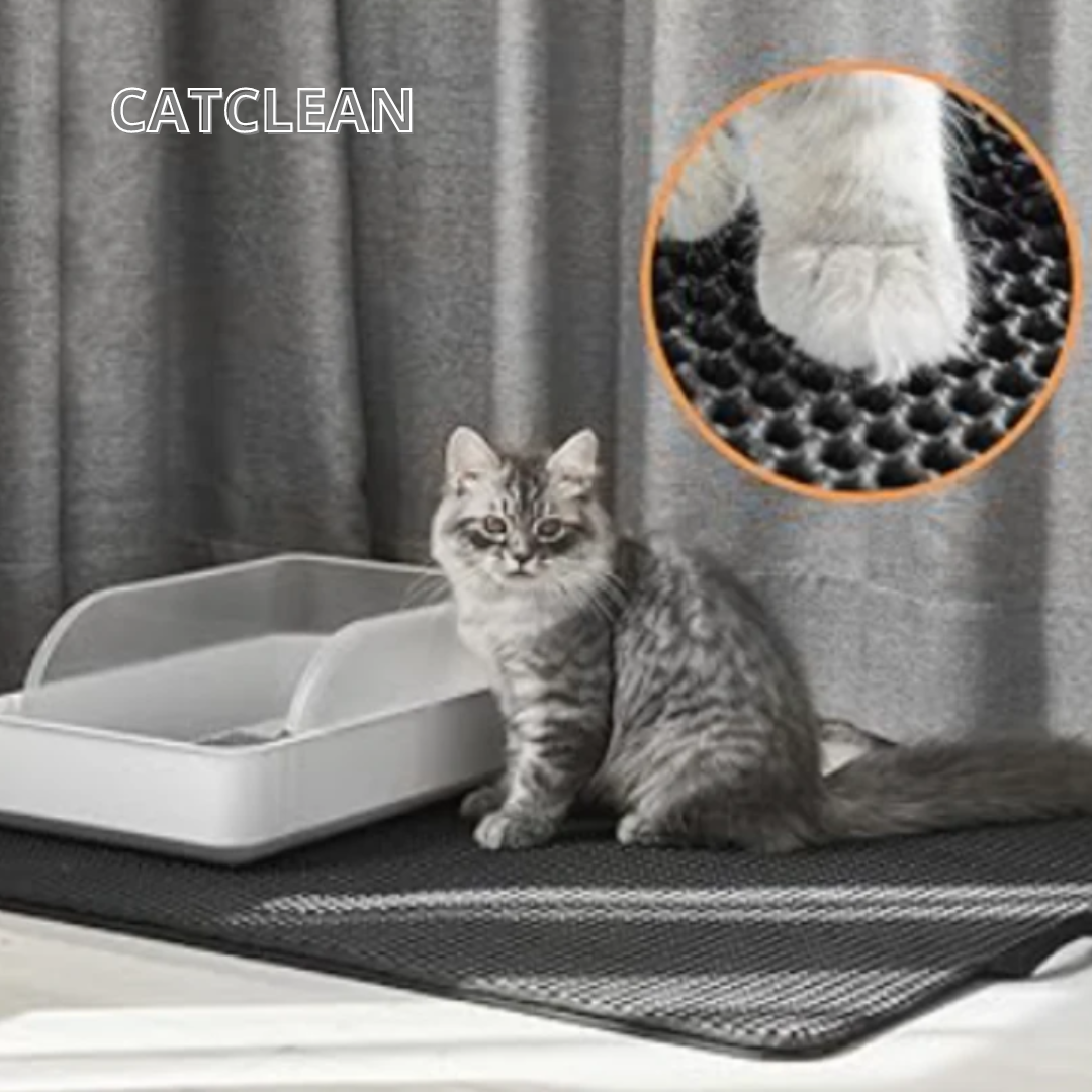 CATCLEAN® | CASA LIBRE DE ARENA